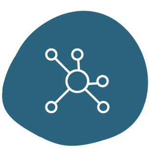 Networks & Associations: